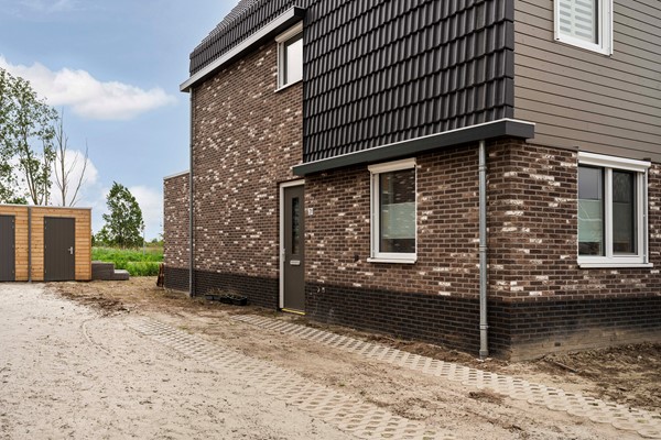 09_Moerasorchidee 31 - Lelystad.jpg
